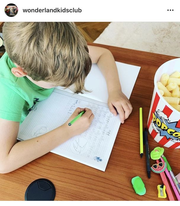 Meditatii romana/matematica/engleza - Clasele 0-VIII Fizic/Online