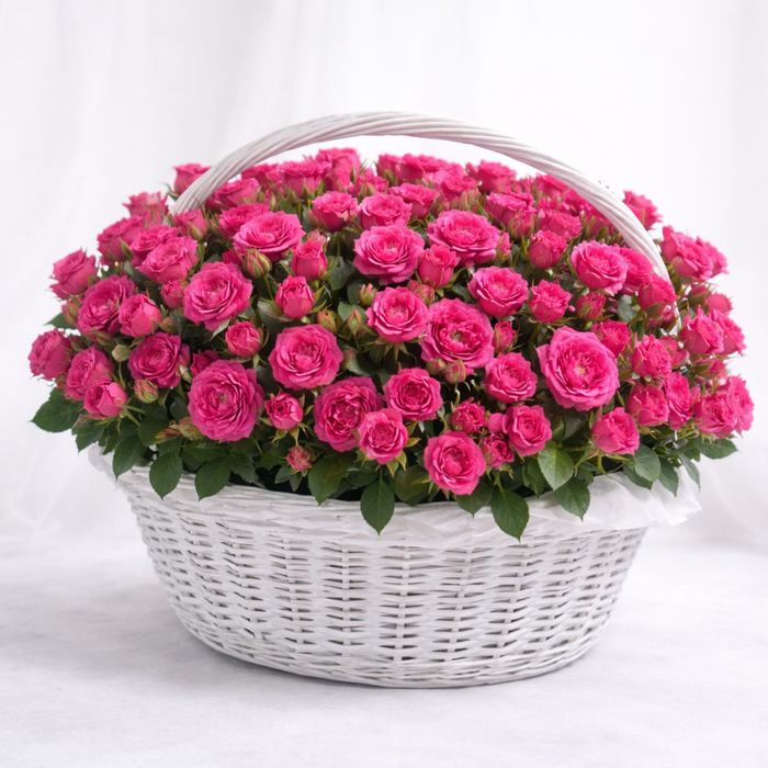 Цветы, любой бағаға