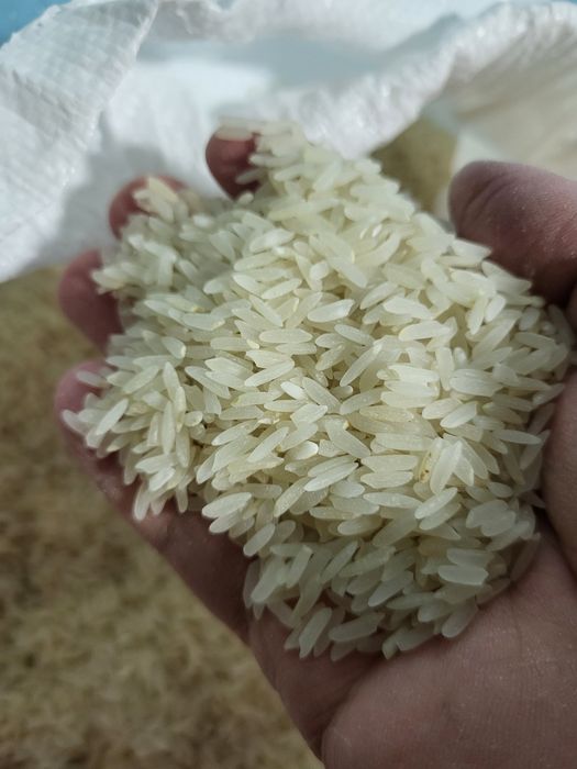 Продам Рис СОРТ Лазер