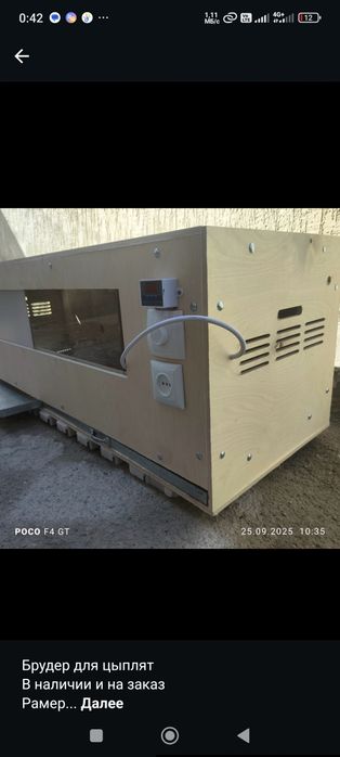 Брудер для цыплят