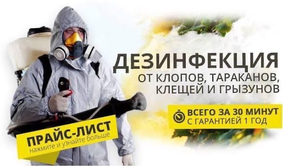 Услуга дезинфекций