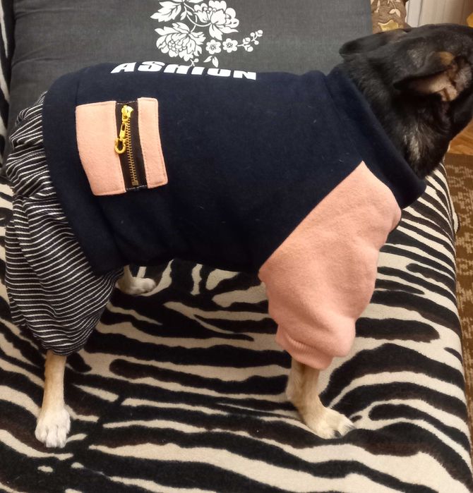 Продам комбинезон для собаки