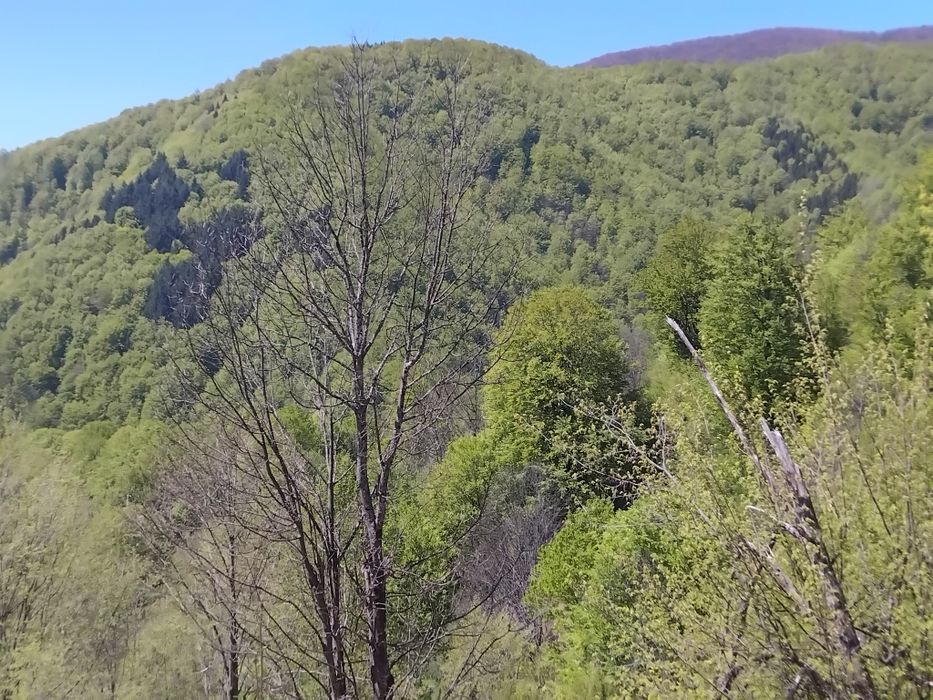 Teren Cerna izvoare