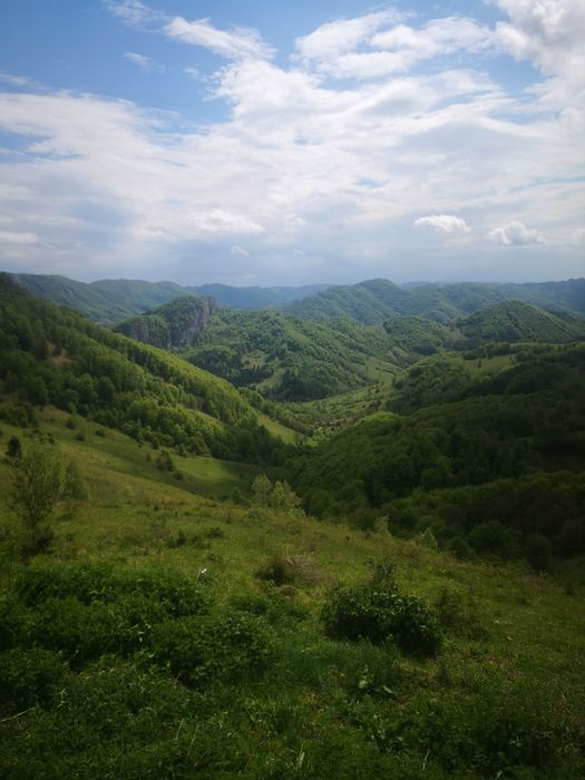 Vând parcele teren pe Transapuseana Transalpina de Apuseni  zona Ponor