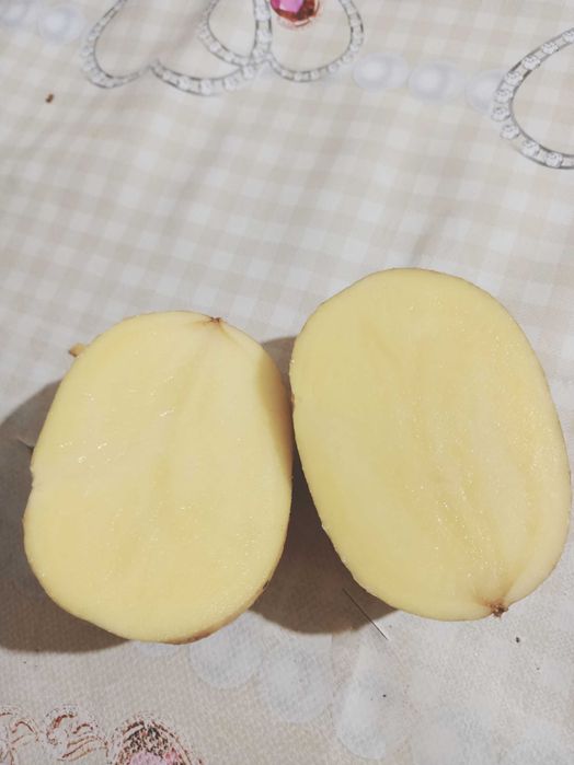 Домашний картофель