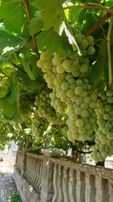 Продавам две къщи с парцел ,на две улици и площад