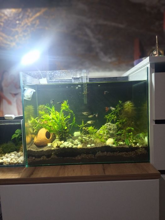 Продам Аквариум 32 литра!