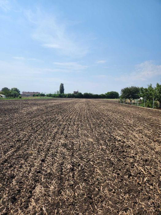Teren intravilan 7612 mp Curtici – 26m front stradal, utilități, acces asfalt