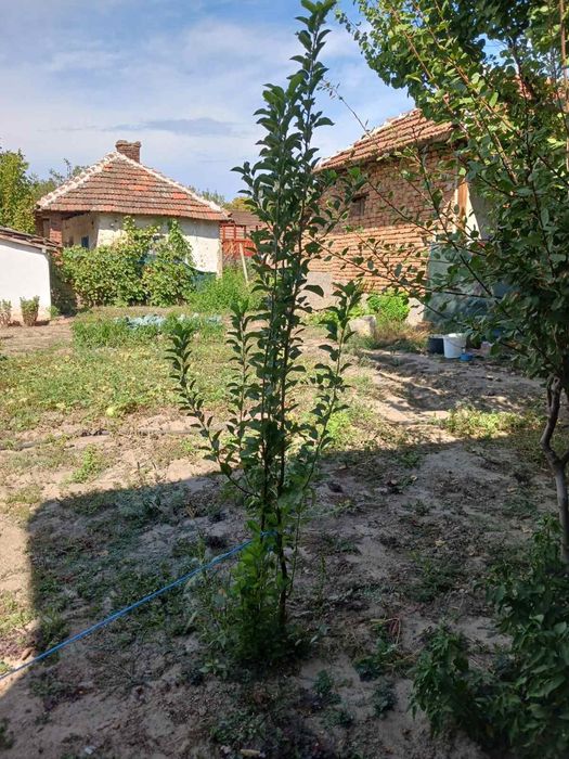 Продава се Къща в с. Брегаре, Област Плевен - 60 кв.м за 298 €/кв.м - Снимка #7