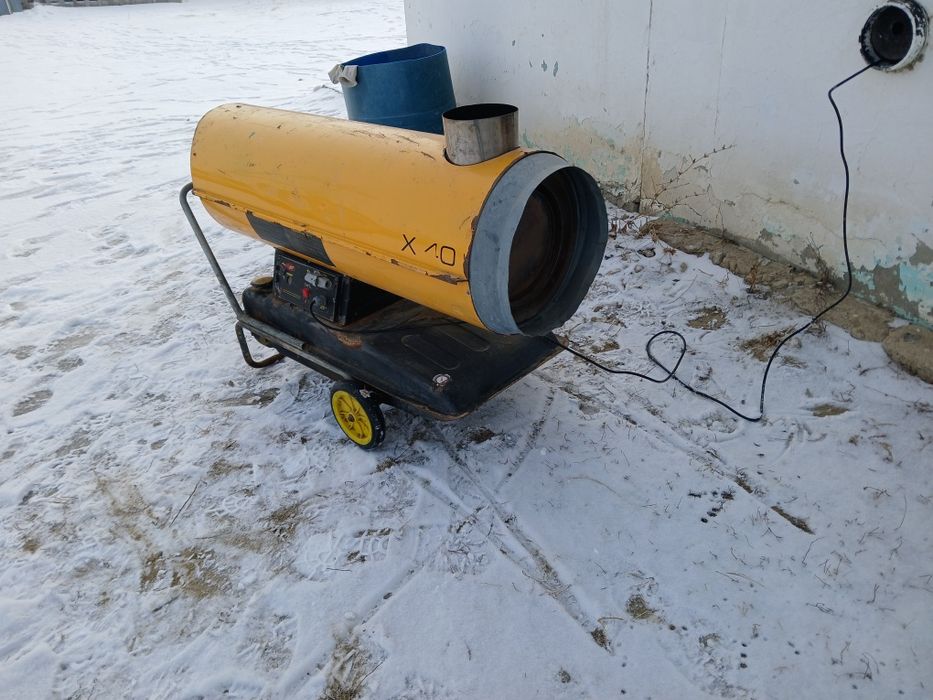 Жейсет коллалифер  бу