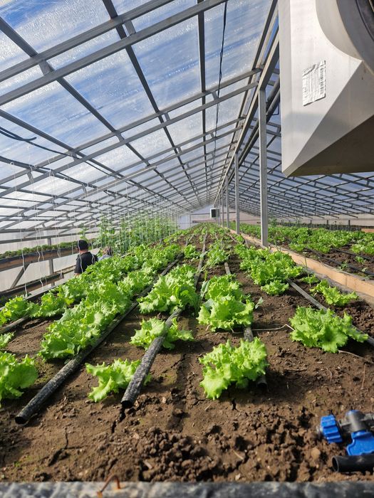 Продам дом с зимней теплицой