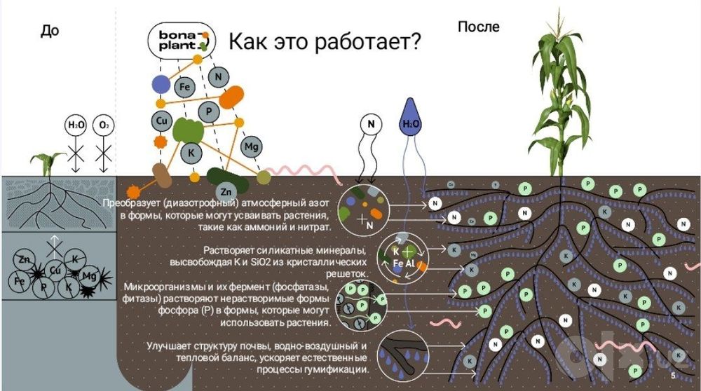 Био симулятор.Быстрое и полезное средство для роста растений.
Быстрое