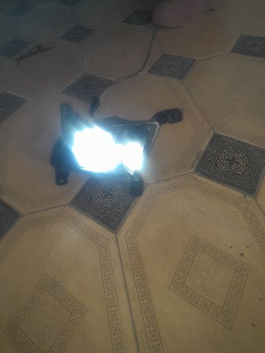 Туманник приора туманник