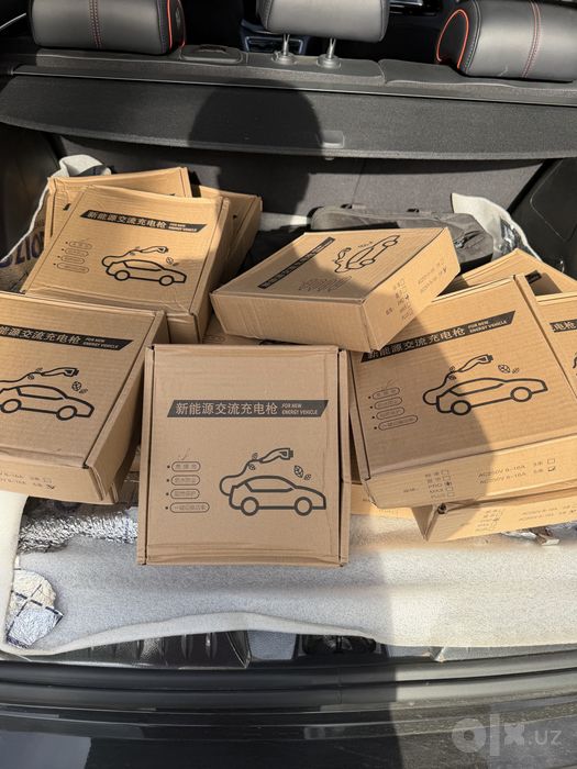 Deepal, Byd, Zeekr, Dongfeng, Denza, Gac, Elektro mobilariga Zaryadka