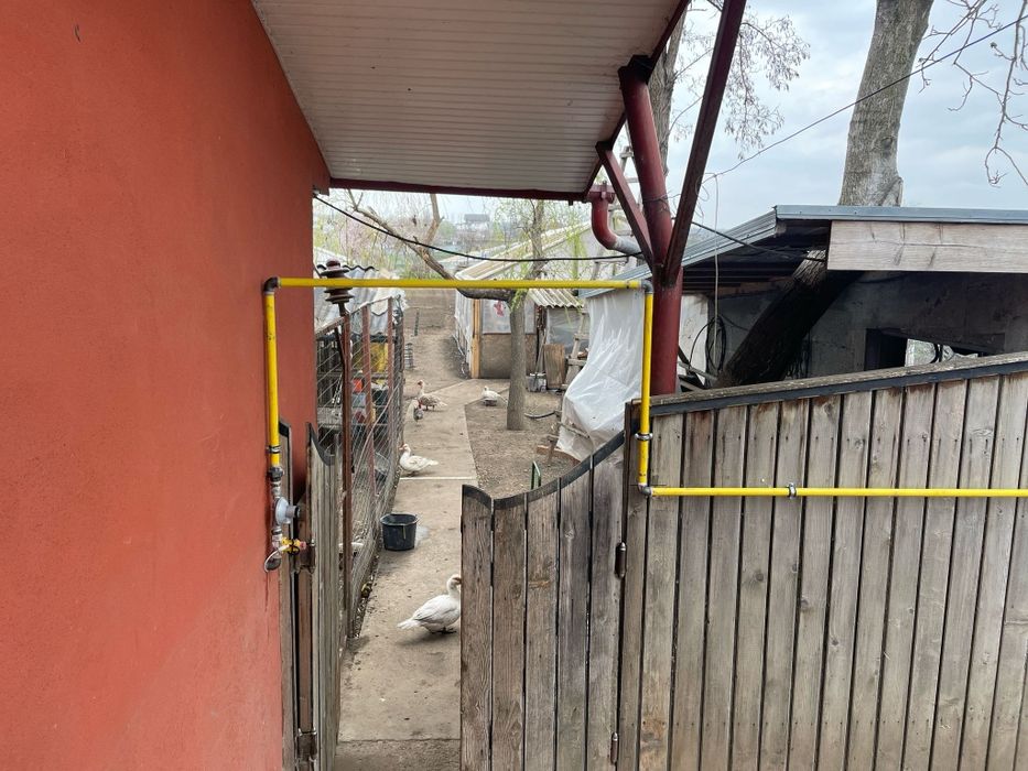 Bazine GPL Rezervoare Propan Butelii