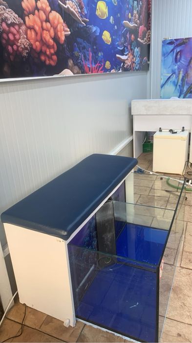 Аквариуми Garra rufa Spa