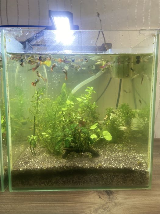 полный комплект аквариум .