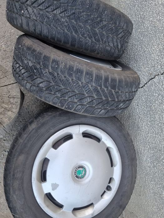 Roti iarna skoda Octavia 1 golf 4 bora seat