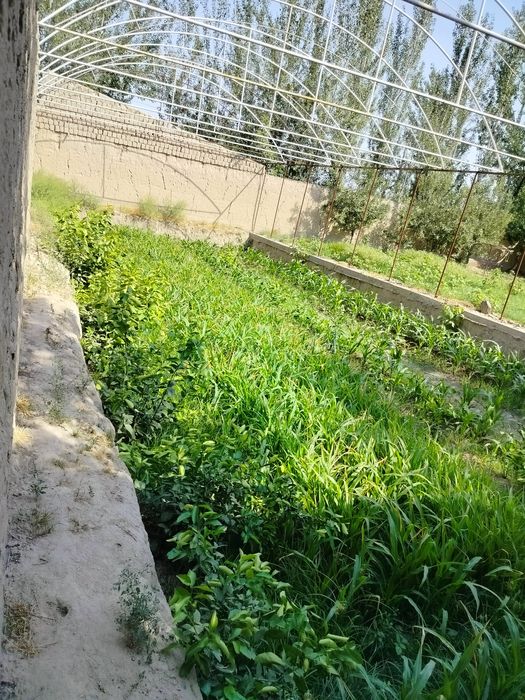 Земельный участок