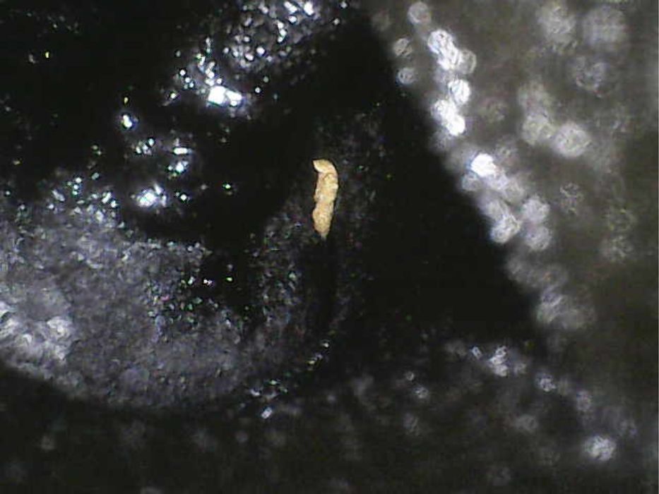 Walnut blast, почистване на клапани
