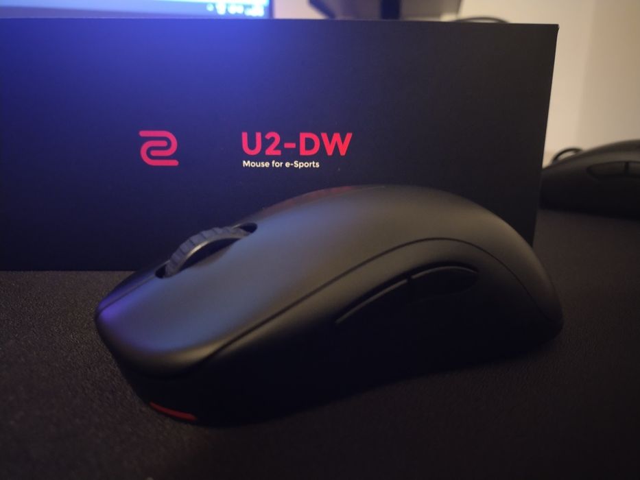 Mouse Zowie U2 DW