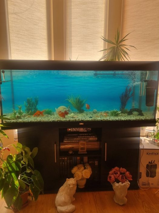 Acvariu juwel rio 450 litri