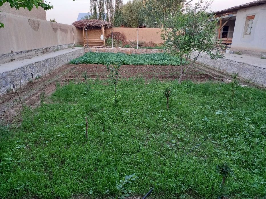 Hovli 8 sotix Navoiyda