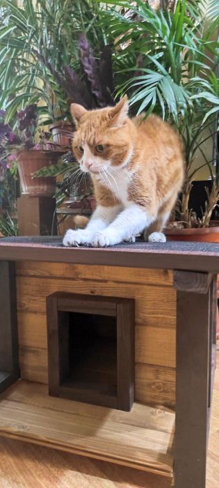 Къщички за домашни любимци