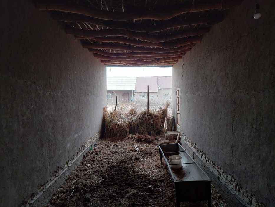 Беруни тумани тоза аэропортда уч грп бетон кучадан биринчи куча