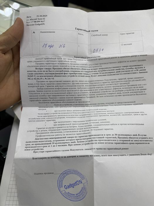 17 Pro 256gb 100% SIM