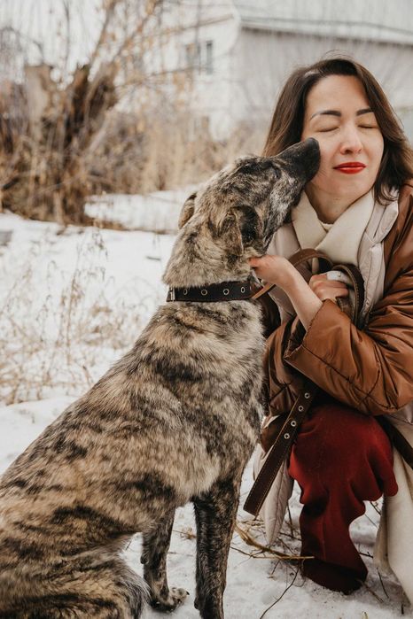 Дружка ищет дом и семью