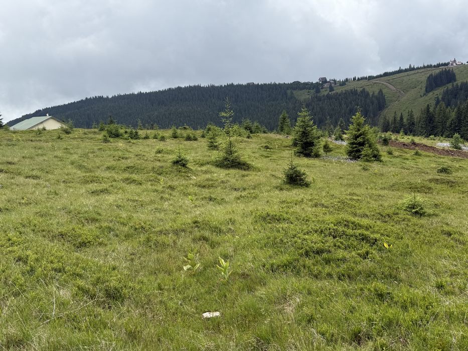 Cedez concesiune lot vf roman bolca 3