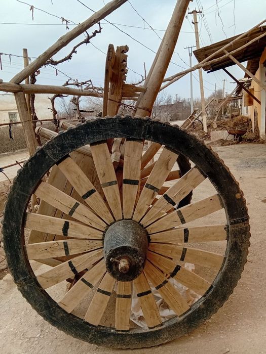 От арава сотилади 130 йилдан ошган