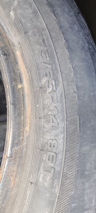 Продам шины тунга зодиак 2
