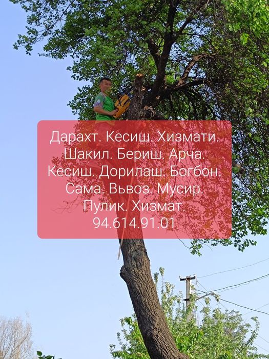 Daraht.kesish.Bogbon.hizmati...20.йилик.