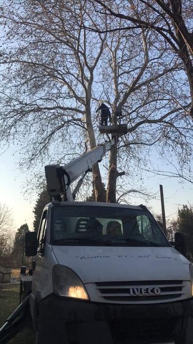 Рязане на високи опасни дървета косене на тревни площи