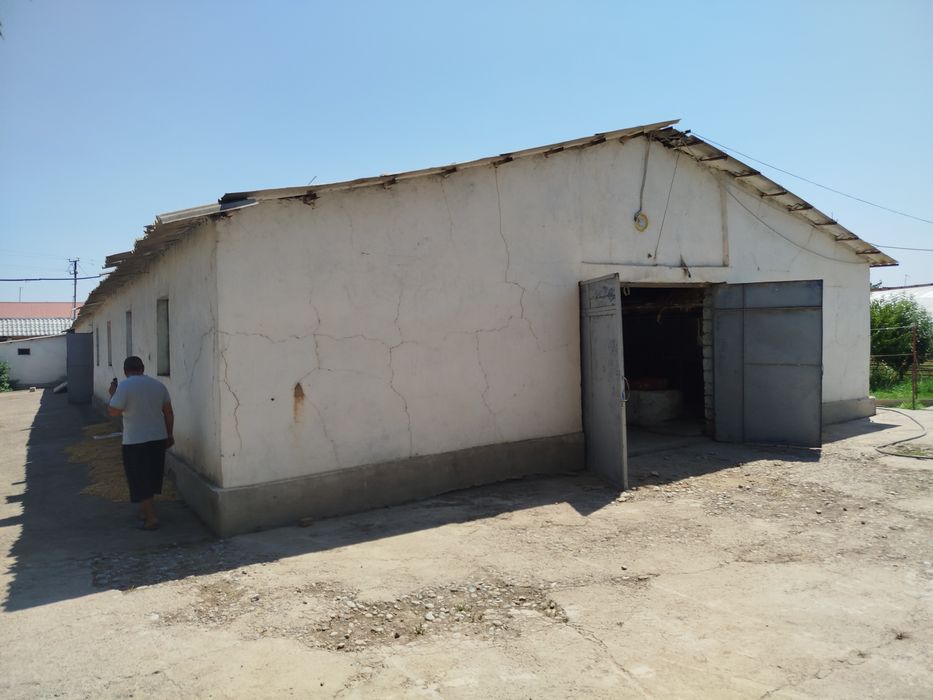 Ferma sotiladi 31 sotik maydonga qurilgan