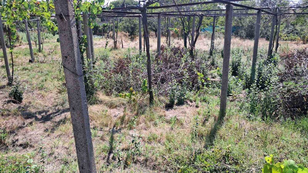 Продава се Парцел в с. Ветрен, Област Стара Загора - 980 кв.м за 14 €/кв.м - Снимка #3