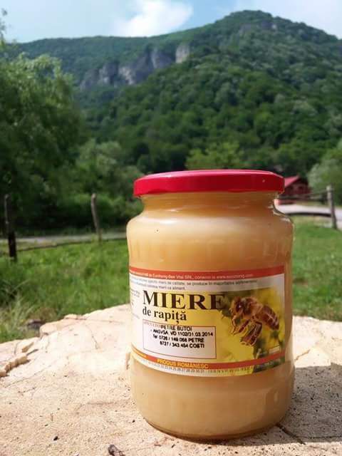 Miere de rapiță Stupina Cocorova
