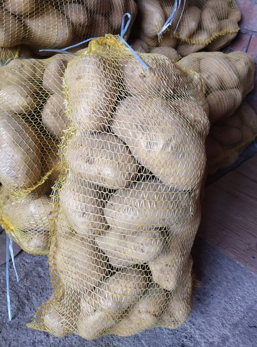 зеленчуци и плодове