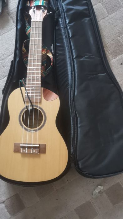 Ukulele hrikane 23 concert că noua