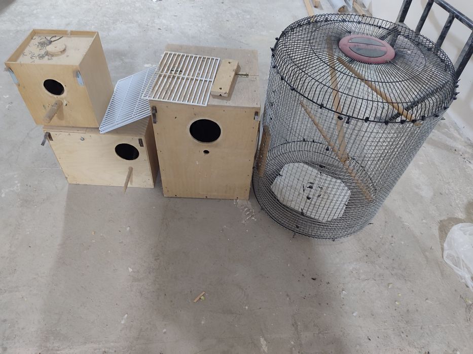 Qafas va Dublyonkalar 3-xil qushga tayorfanerdan