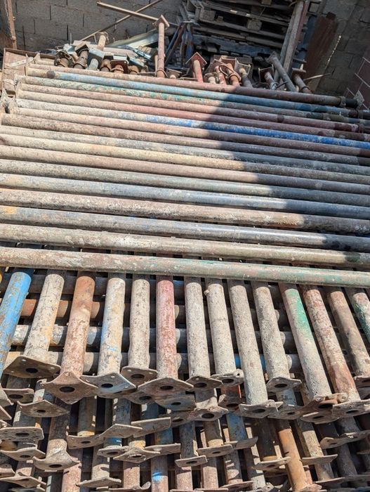 Струпцина тайрот леса