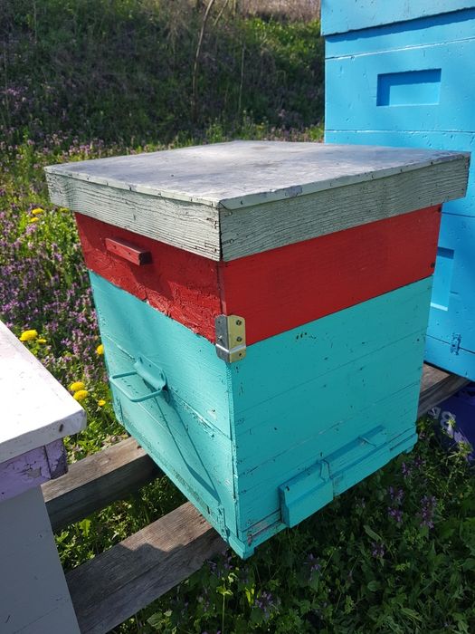 Lazi stup,folosite,1/1+cat 1/2,10 rame