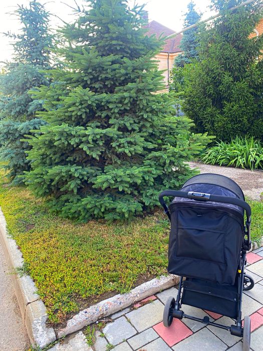 Коляска детская