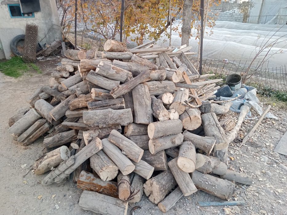 Oʻtin , yaxshi yonadigan quruq