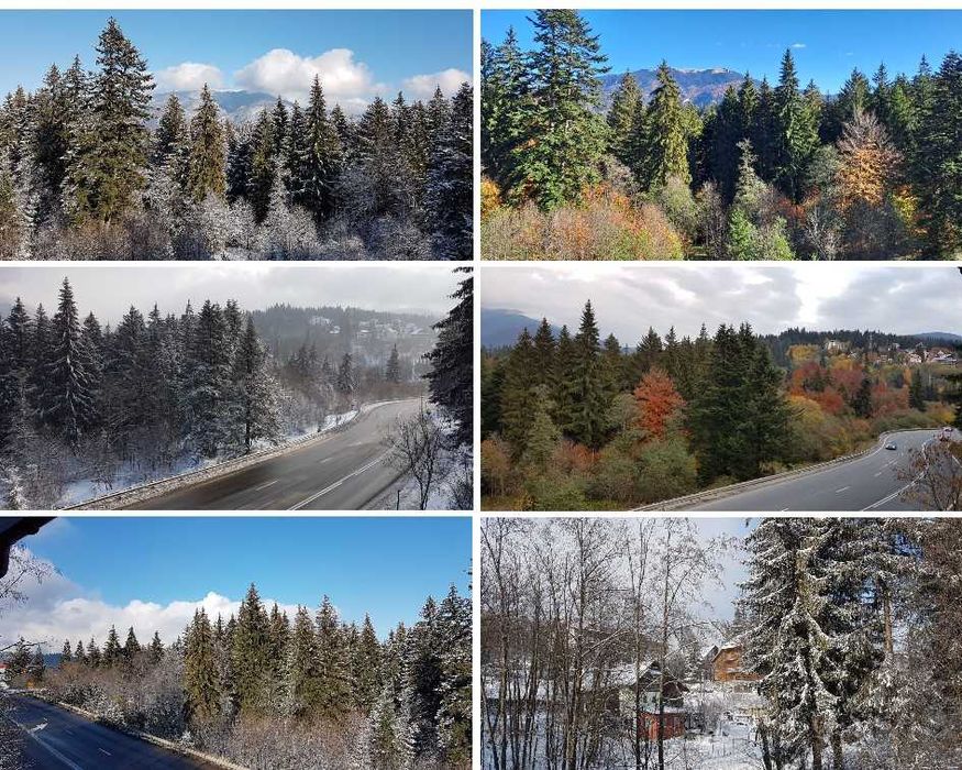 Apartament 3 camere Predeal | Duplex | Luxury Mountain Residence