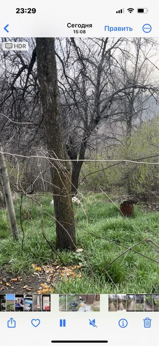 Продам дачу с домиком