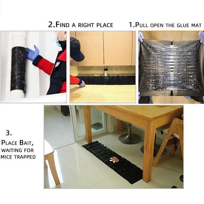 Kalamush tuzoq/ Kalamushga kleyli qopqon