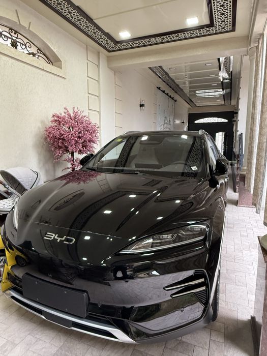 Byd Champion Smart 2025-26